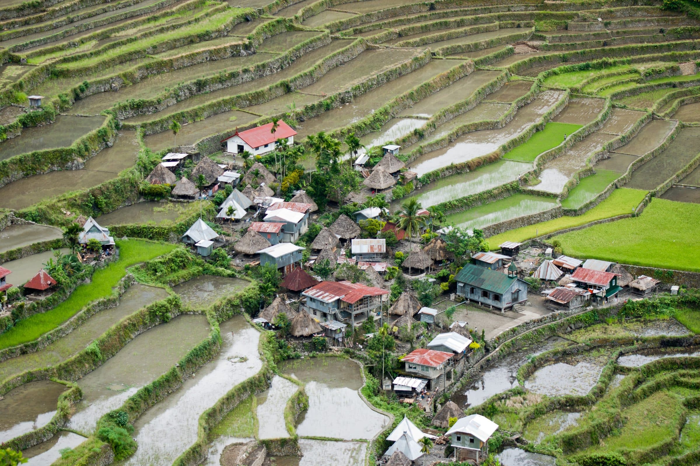 Batad rice terraces in Ifugao, Philippines